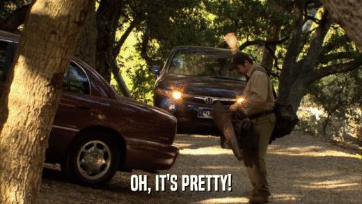 OH, IT'S PRETTY!  