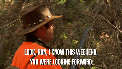 LOOK, RON, I KNOW THIS WEEKEND, YOU WERE LOOKING FORWARD 