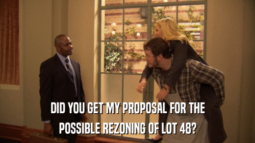 DID YOU GET MY PROPOSAL FOR THE POSSIBLE REZONING OF LOT 48? 