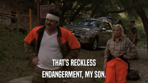 THAT'S RECKLESS ENDANGERMENT, MY SON. 