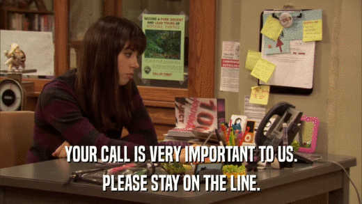 YOUR CALL IS VERY IMPORTANT TO US. PLEASE STAY ON THE LINE. 