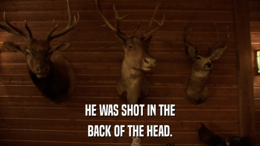 HE WAS SHOT IN THE BACK OF THE HEAD. 