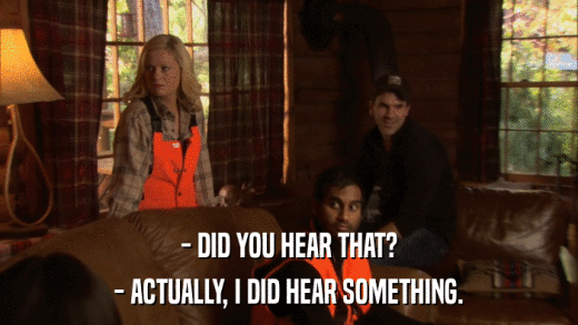 - DID YOU HEAR THAT? - ACTUALLY, I DID HEAR SOMETHING. 