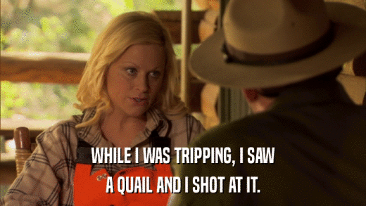 WHILE I WAS TRIPPING, I SAW A QUAIL AND I SHOT AT IT. 
