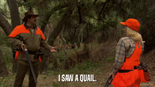 I SAW A QUAIL.  