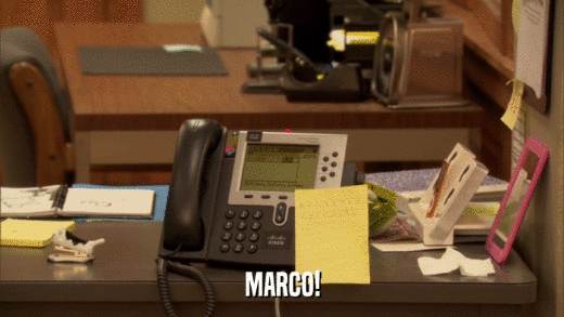 MARCO!  