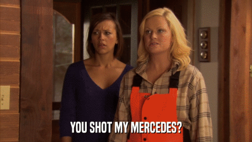 YOU SHOT MY MERCEDES?  