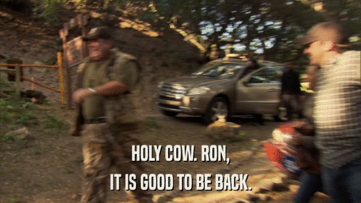 HOLY COW. RON, IT IS GOOD TO BE BACK. 