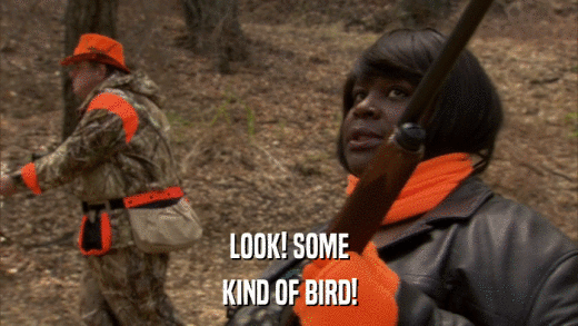 LOOK! SOME KIND OF BIRD! 