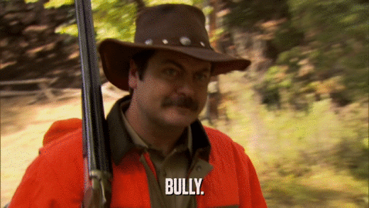 BULLY.  