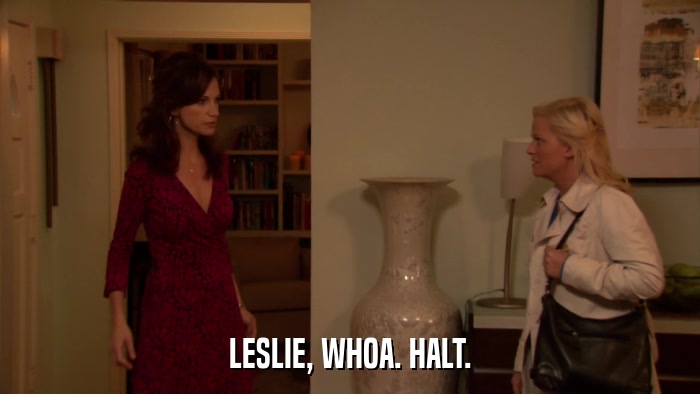 LESLIE, WHOA. HALT.  