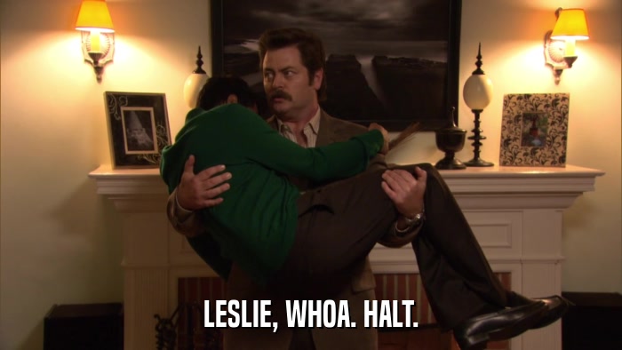LESLIE, WHOA. HALT.  