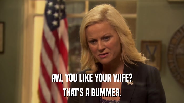 AW, YOU LIKE YOUR WIFE? THAT'S A BUMMER. 