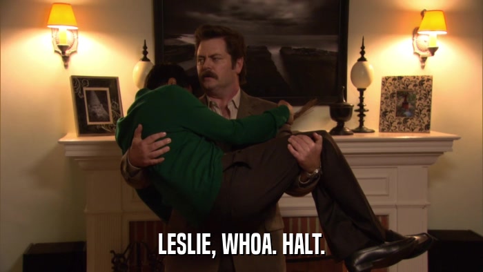 LESLIE, WHOA. HALT.  