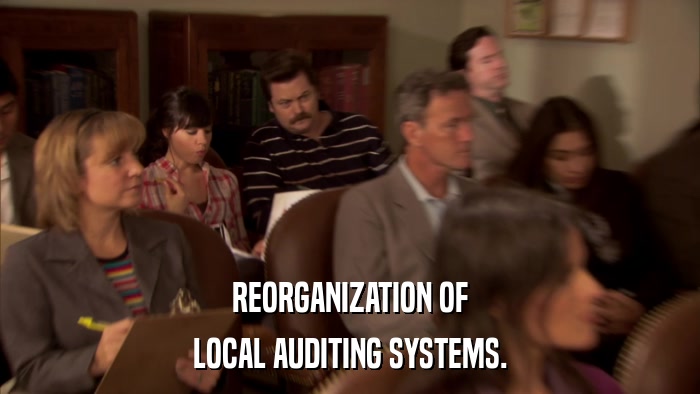 REORGANIZATION OF LOCAL AUDITING SYSTEMS. 