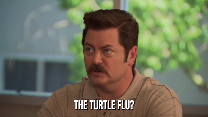 THE TURTLE FLU?  