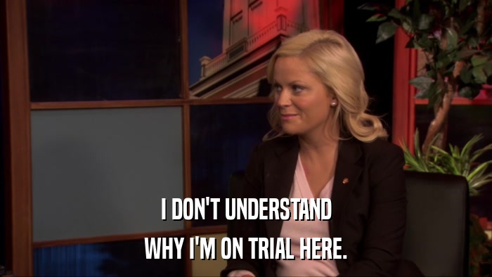 I DON'T UNDERSTAND WHY I'M ON TRIAL HERE. 