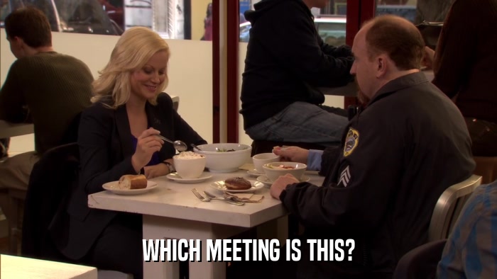 WHICH MEETING IS THIS?  