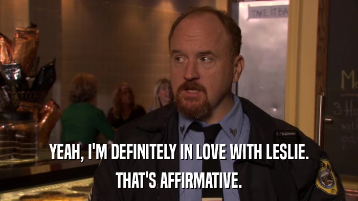 YEAH, I'M DEFINITELY IN LOVE WITH LESLIE. THAT'S AFFIRMATIVE. 