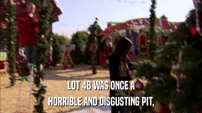 LOT 48 WAS ONCE A HORRIBLE AND DISGUSTING PIT, 