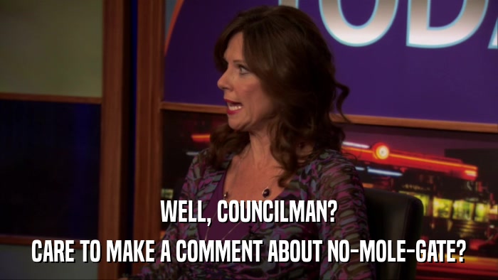 WELL, COUNCILMAN? CARE TO MAKE A COMMENT ABOUT NO-MOLE-GATE? 