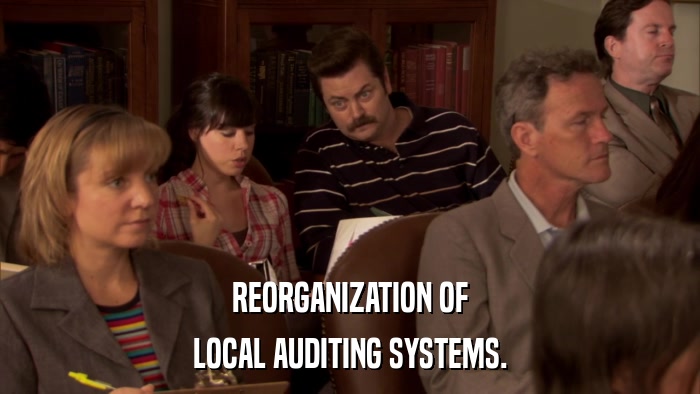 REORGANIZATION OF LOCAL AUDITING SYSTEMS. 