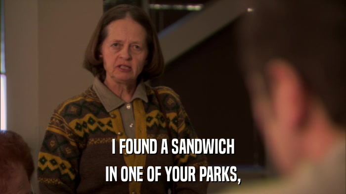 I FOUND A SANDWICH IN ONE OF YOUR PARKS, 