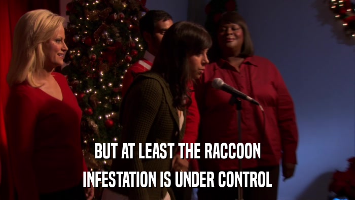 BUT AT LEAST THE RACCOON INFESTATION IS UNDER CONTROL 