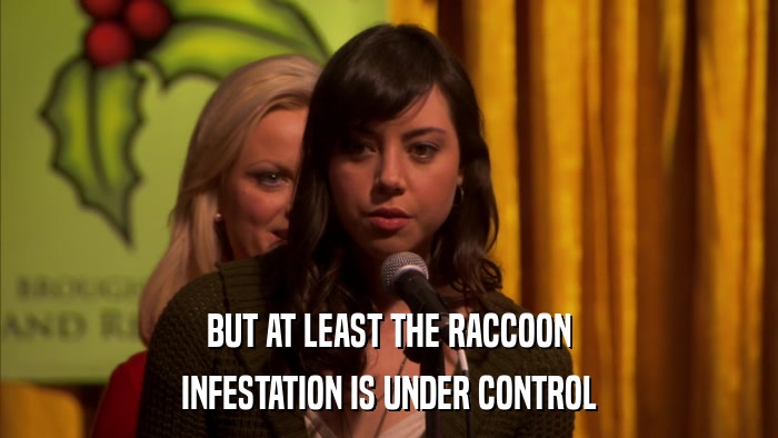 BUT AT LEAST THE RACCOON INFESTATION IS UNDER CONTROL 
