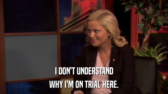 I DON'T UNDERSTAND WHY I'M ON TRIAL HERE. 