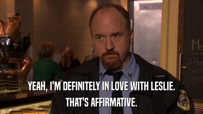 YEAH, I'M DEFINITELY IN LOVE WITH LESLIE. THAT'S AFFIRMATIVE. 