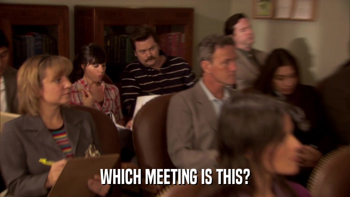 WHICH MEETING IS THIS?  
