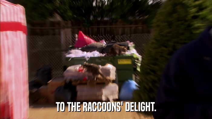 TO THE RACCOONS' DELIGHT.  