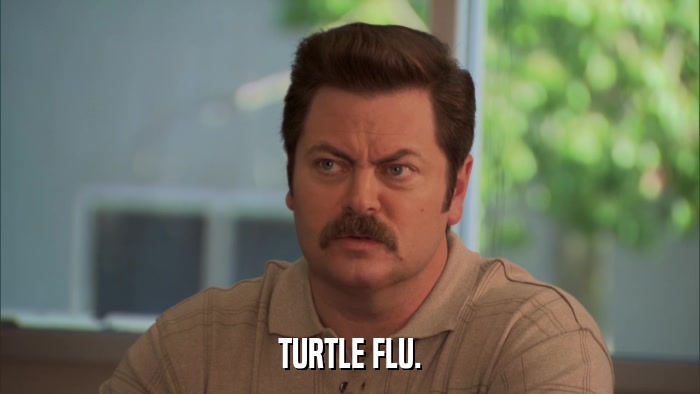 TURTLE FLU.  