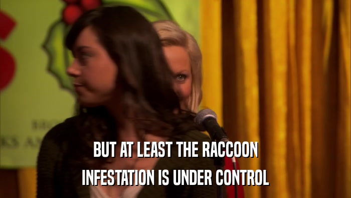 BUT AT LEAST THE RACCOON INFESTATION IS UNDER CONTROL 