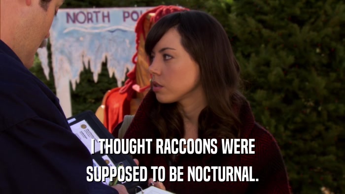 I THOUGHT RACCOONS WERE SUPPOSED TO BE NOCTURNAL. 