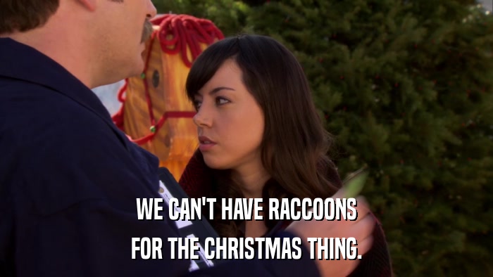 WE CAN'T HAVE RACCOONS FOR THE CHRISTMAS THING. 