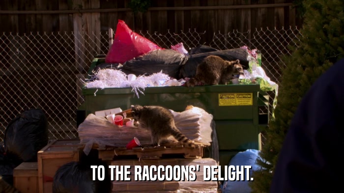 TO THE RACCOONS' DELIGHT.  