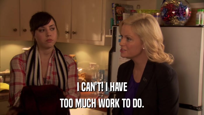I CAN'T! I HAVE TOO MUCH WORK TO DO. 