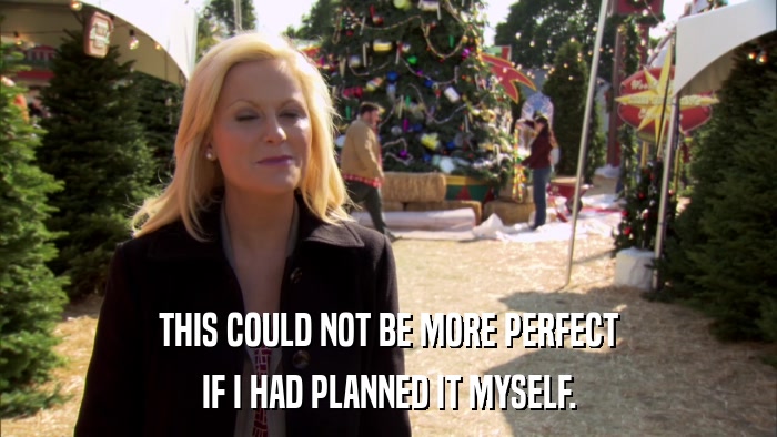 THIS COULD NOT BE MORE PERFECT IF I HAD PLANNED IT MYSELF. 
