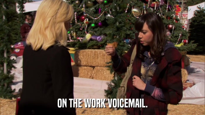 ON THE WORK VOICEMAIL.  