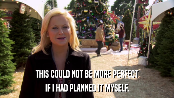 THIS COULD NOT BE MORE PERFECT IF I HAD PLANNED IT MYSELF. 