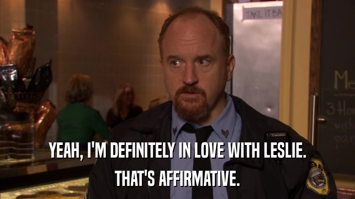 YEAH, I'M DEFINITELY IN LOVE WITH LESLIE. THAT'S AFFIRMATIVE. 