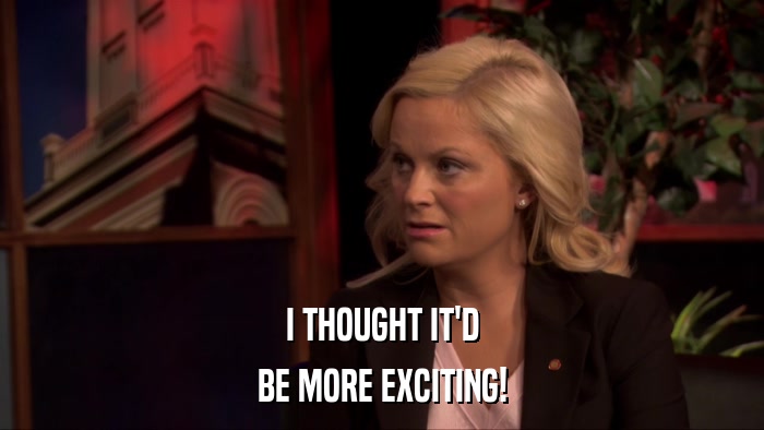 I THOUGHT IT'D BE MORE EXCITING! 