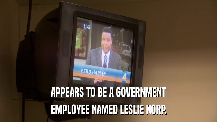 APPEARS TO BE A GOVERNMENT EMPLOYEE NAMED LESLIE NORP. 