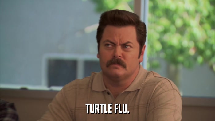 TURTLE FLU.  