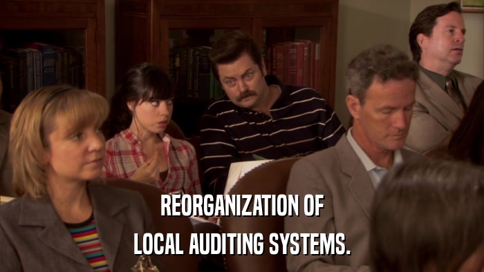 REORGANIZATION OF LOCAL AUDITING SYSTEMS. 