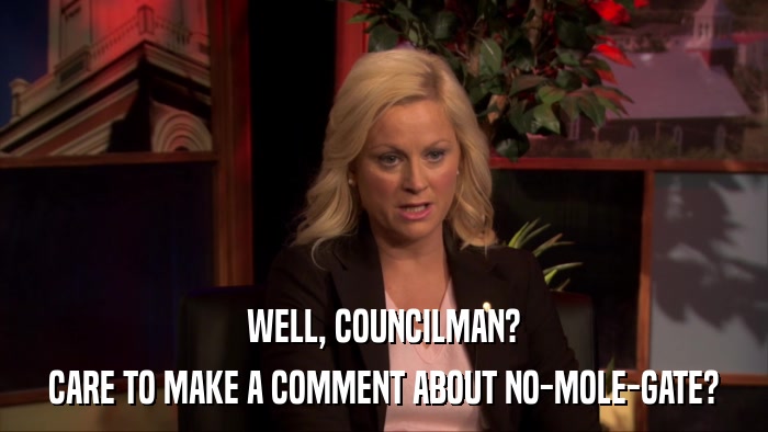 WELL, COUNCILMAN? CARE TO MAKE A COMMENT ABOUT NO-MOLE-GATE? 