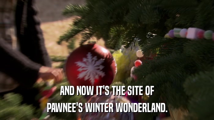 AND NOW IT'S THE SITE OF PAWNEE'S WINTER WONDERLAND. 
