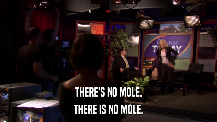 THERE'S NO MOLE. THERE IS NO MOLE. 